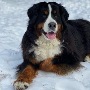 Meet your Posher, Jon